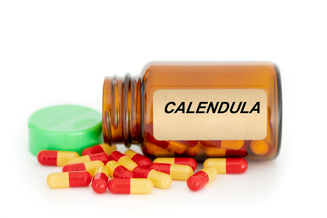 Calendula herbal medicine, conceptual image