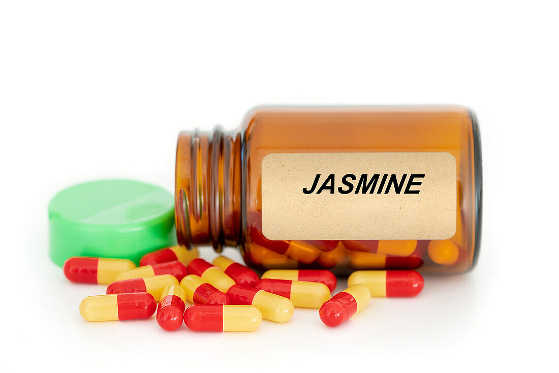 Jasmine herbal medicine, conceptual image