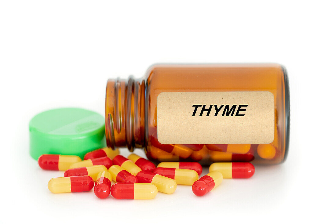 Thyme herbal medicine, conceptual image