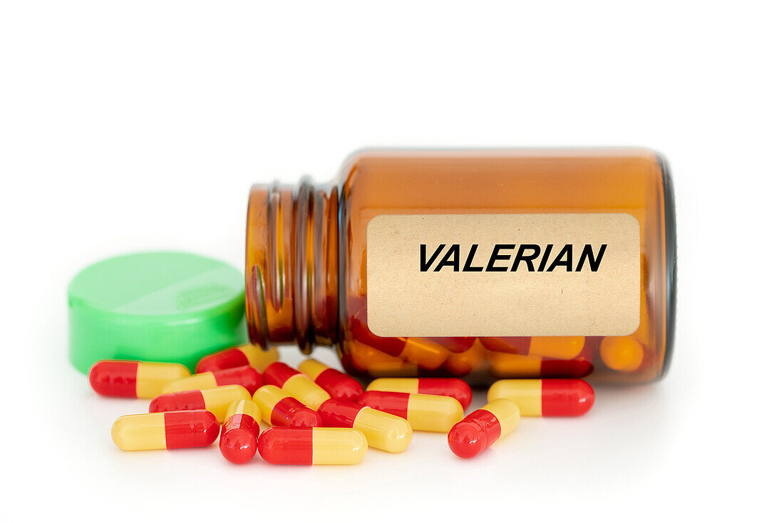 Valerian herbal medicine, conceptual image