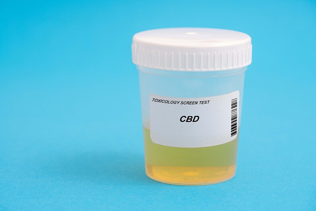 Urine test for CBD