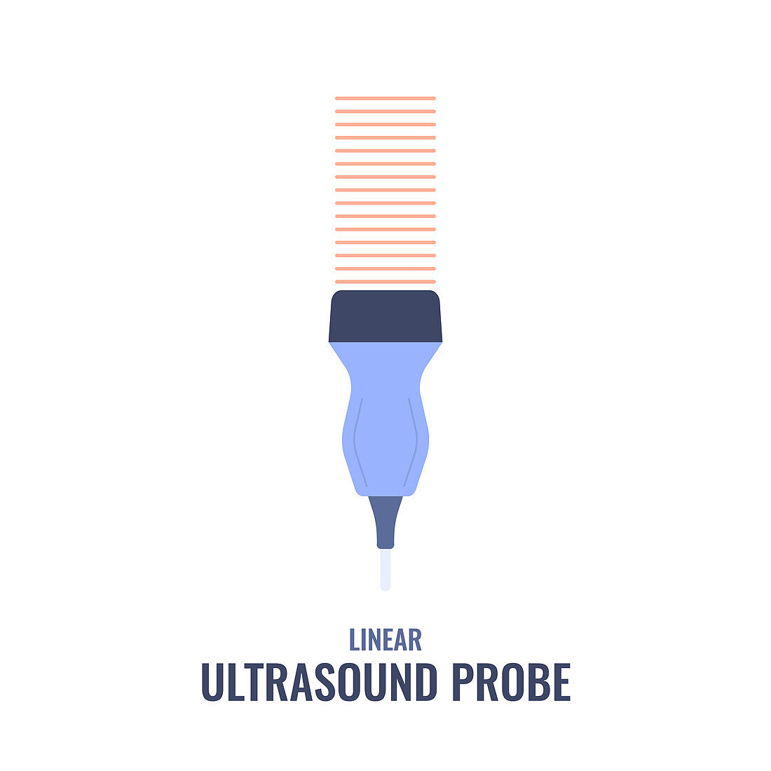 Linear ultrasound probe, illustration