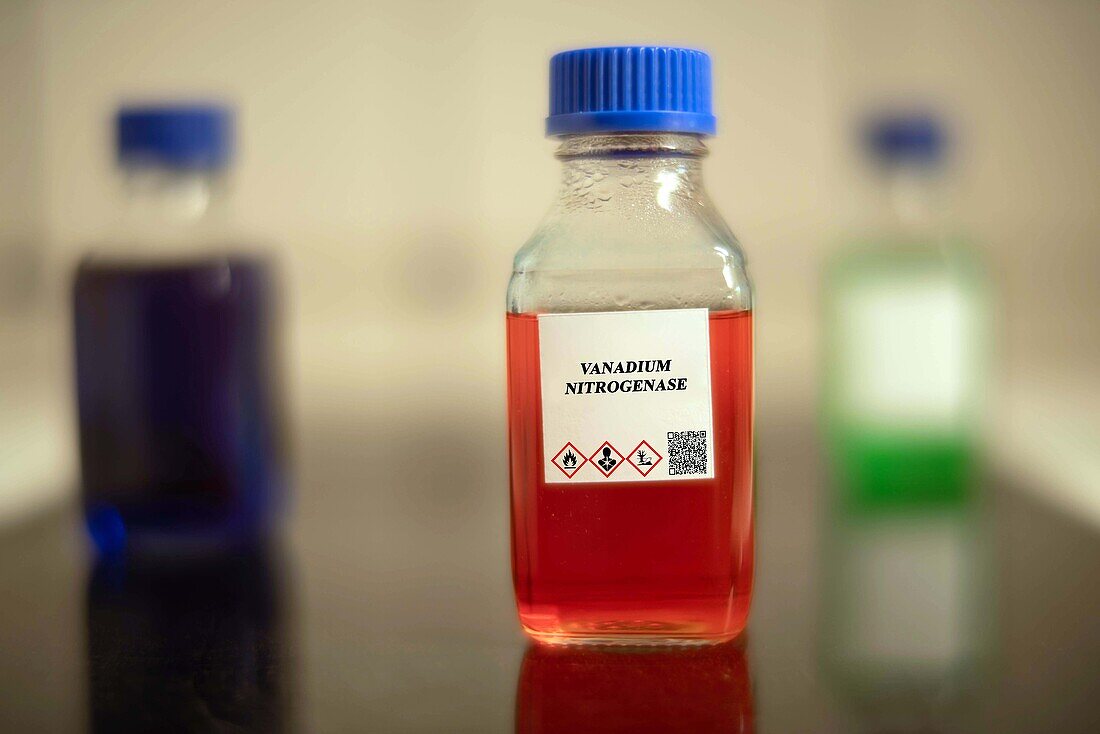 Glass bottle of vanadium nitrogenase biofuel