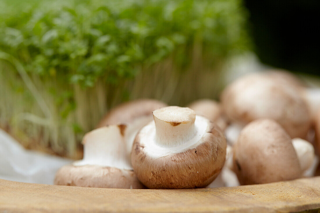 Mushrooms in wooden bowl