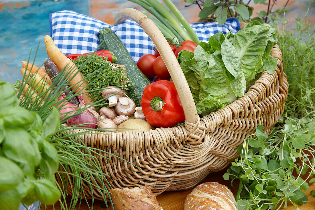 Vegetable basket with herbs