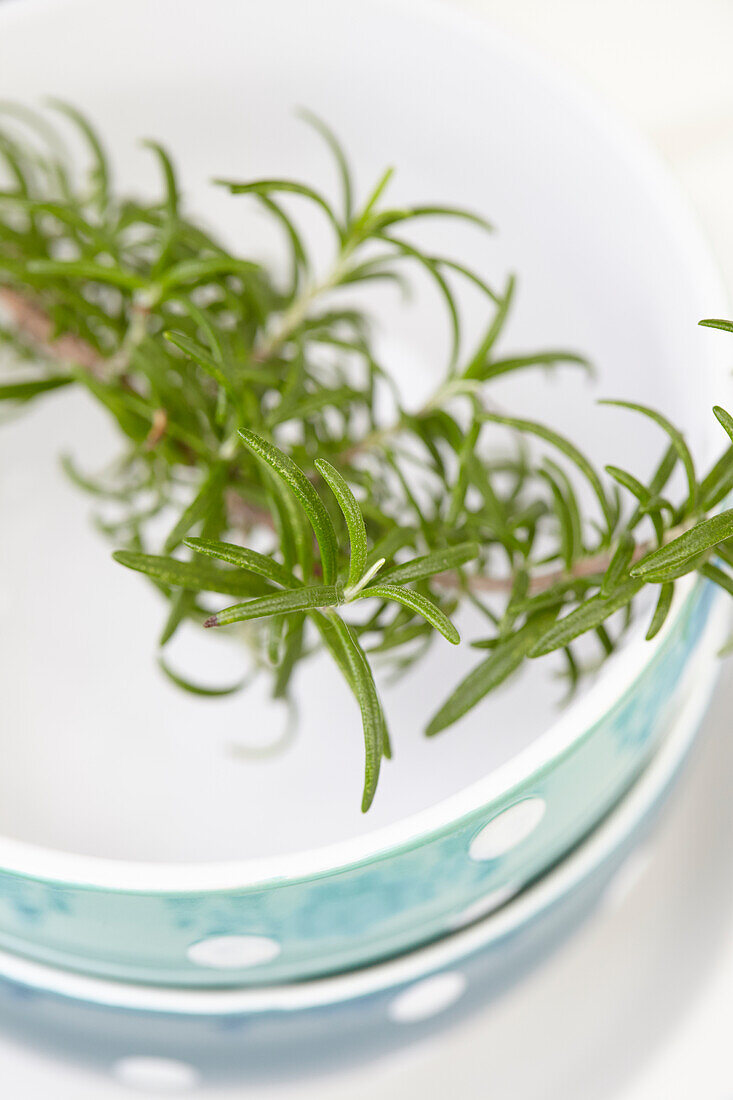 Bowl with rosemary