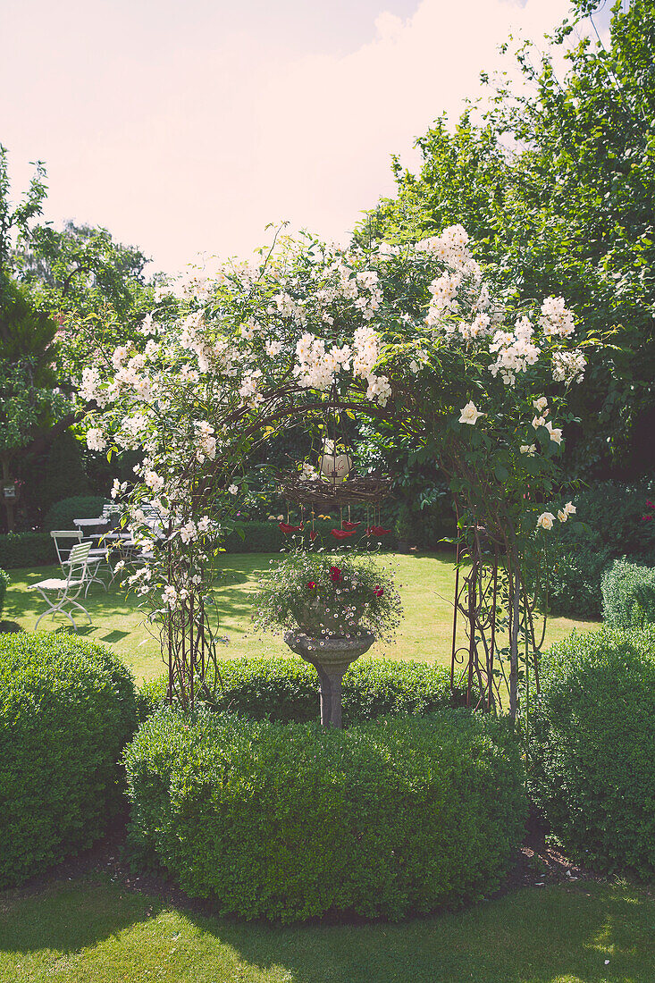 Rose arch