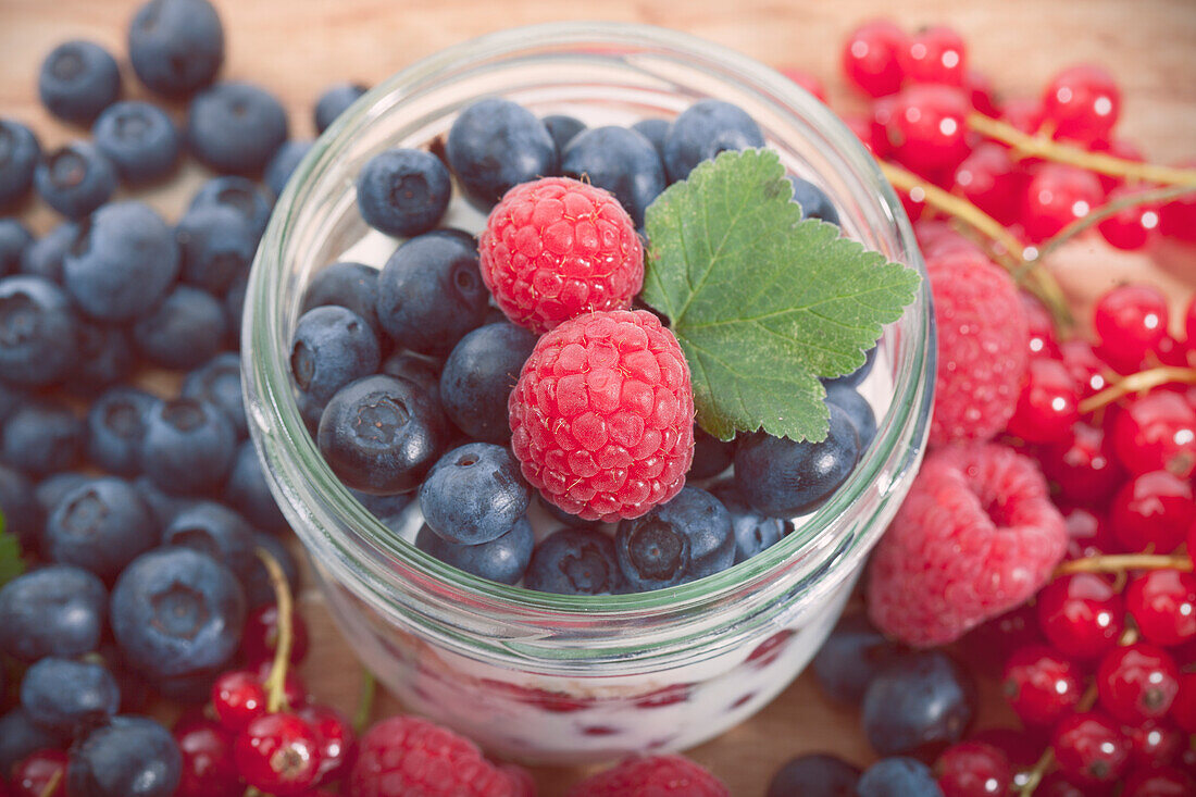 Rubus idaeus, Vaccinium corymbosum, Ribes rubrum