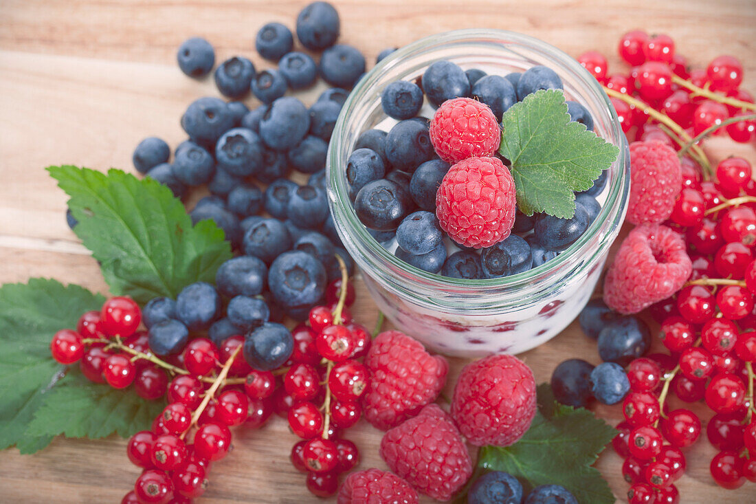 Rubus idaeus, Vaccinium corymbosum, Ribes rubrum