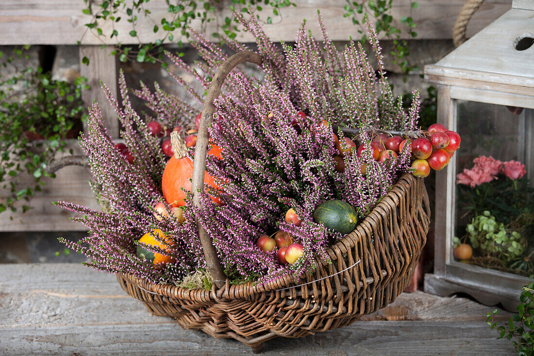 Basket with Calluna