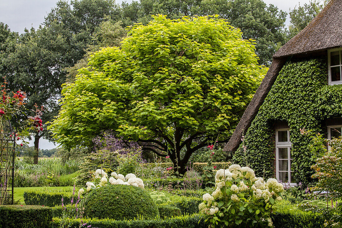 Gartenansicht