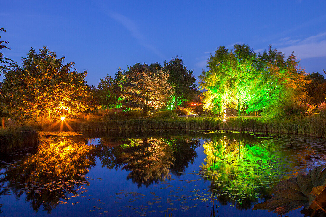 Pond lighting