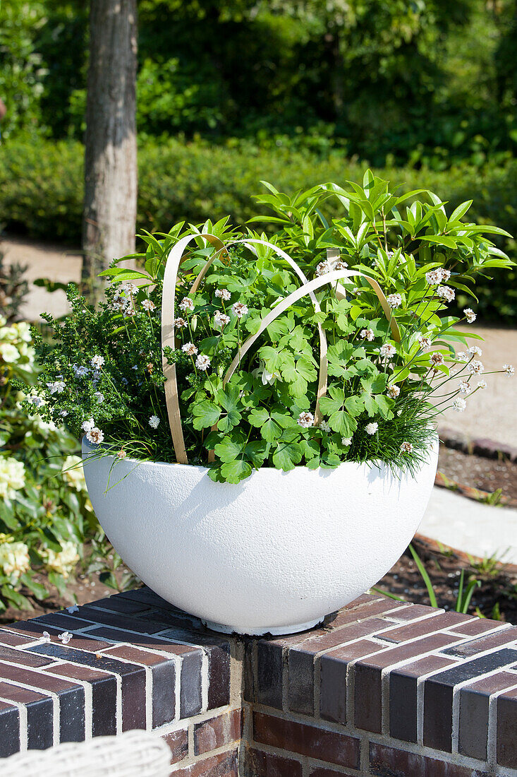 Planter on wall