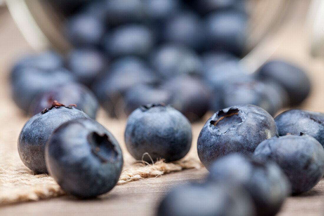 Vaccinium myrtillus