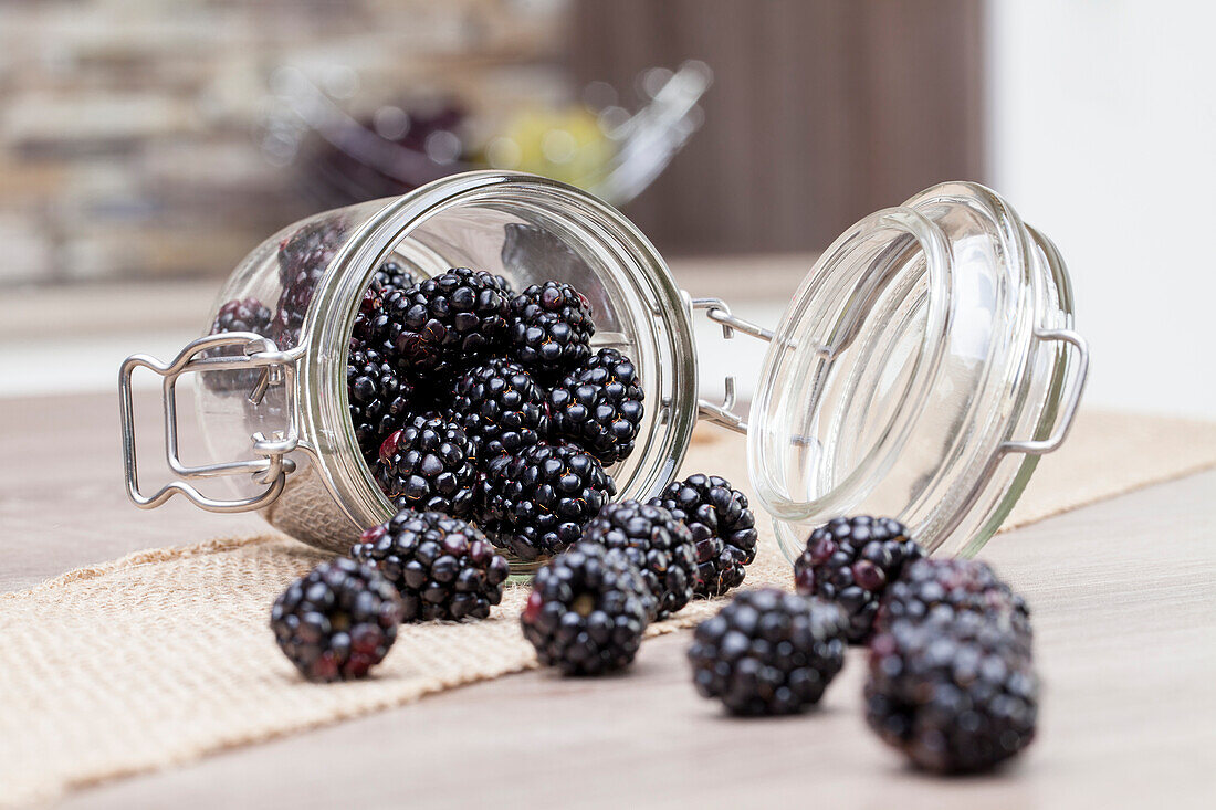 Rubus fruticosus