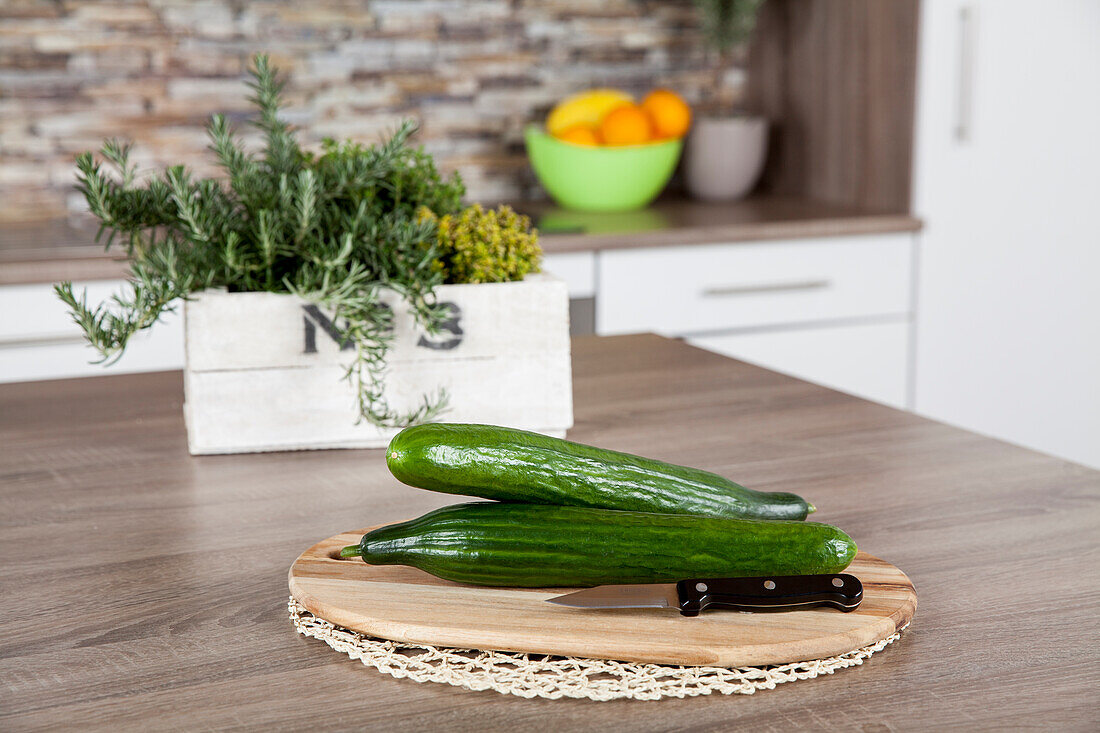 Cucumis (Melone) in schwarze Folie … – Bild kaufen – 12128176 ❘  Gartenbildagentur Friedrich Strauss