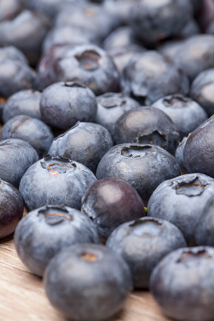 Vaccinium myrtillus