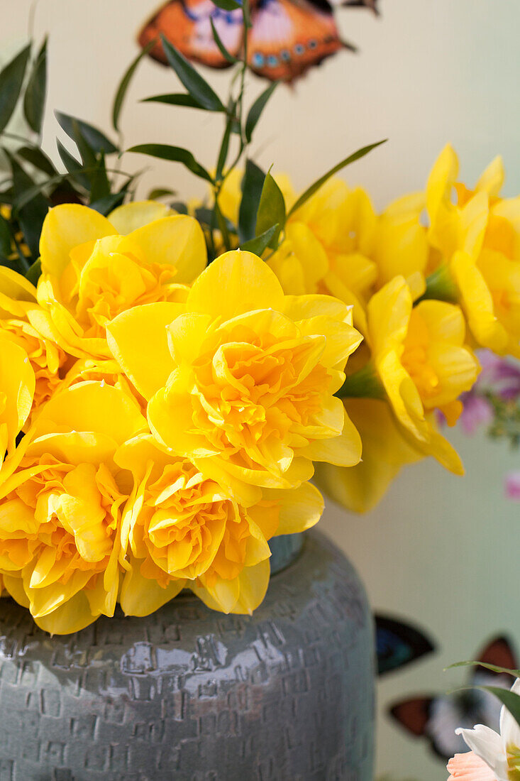 daffodils in vase