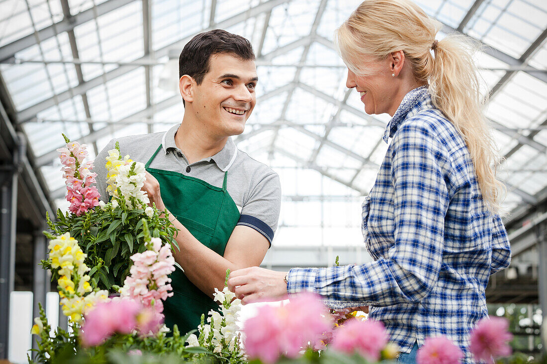 Garden centre salesman and customer