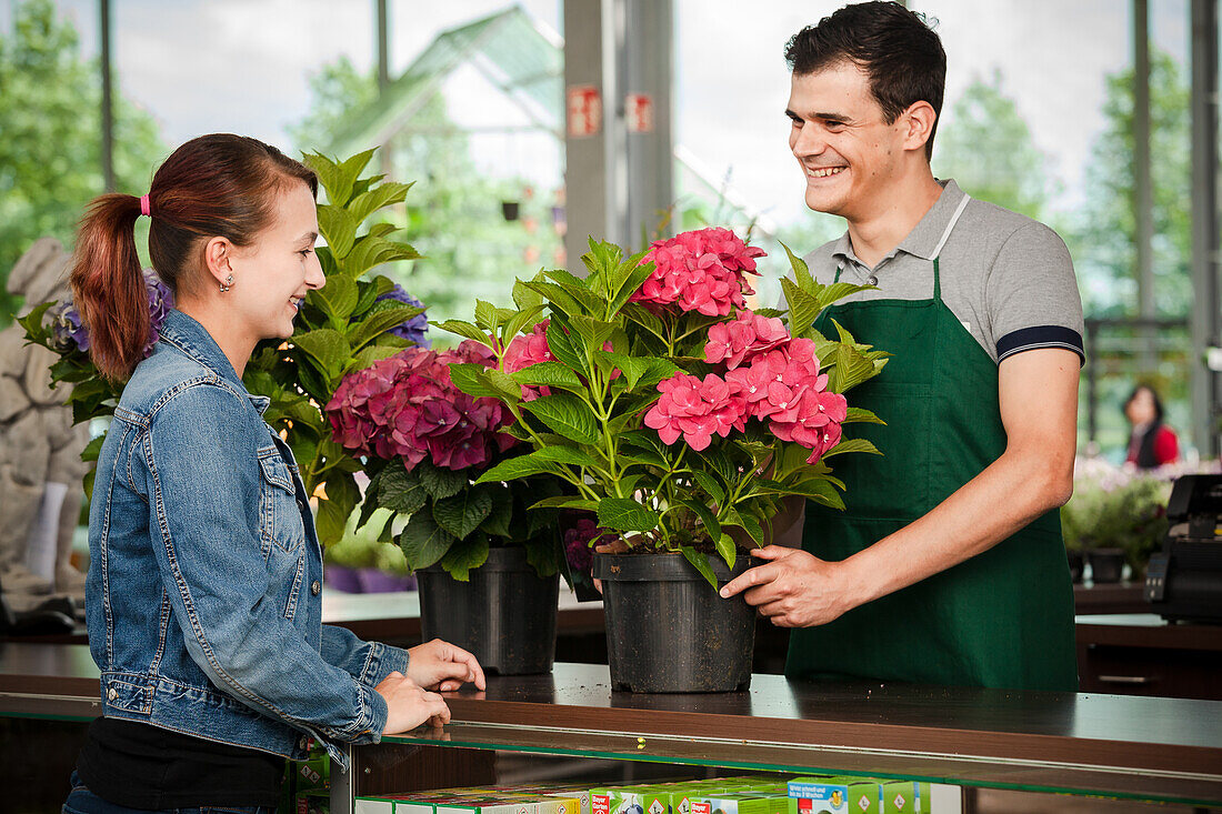 Garden centre sales assistant