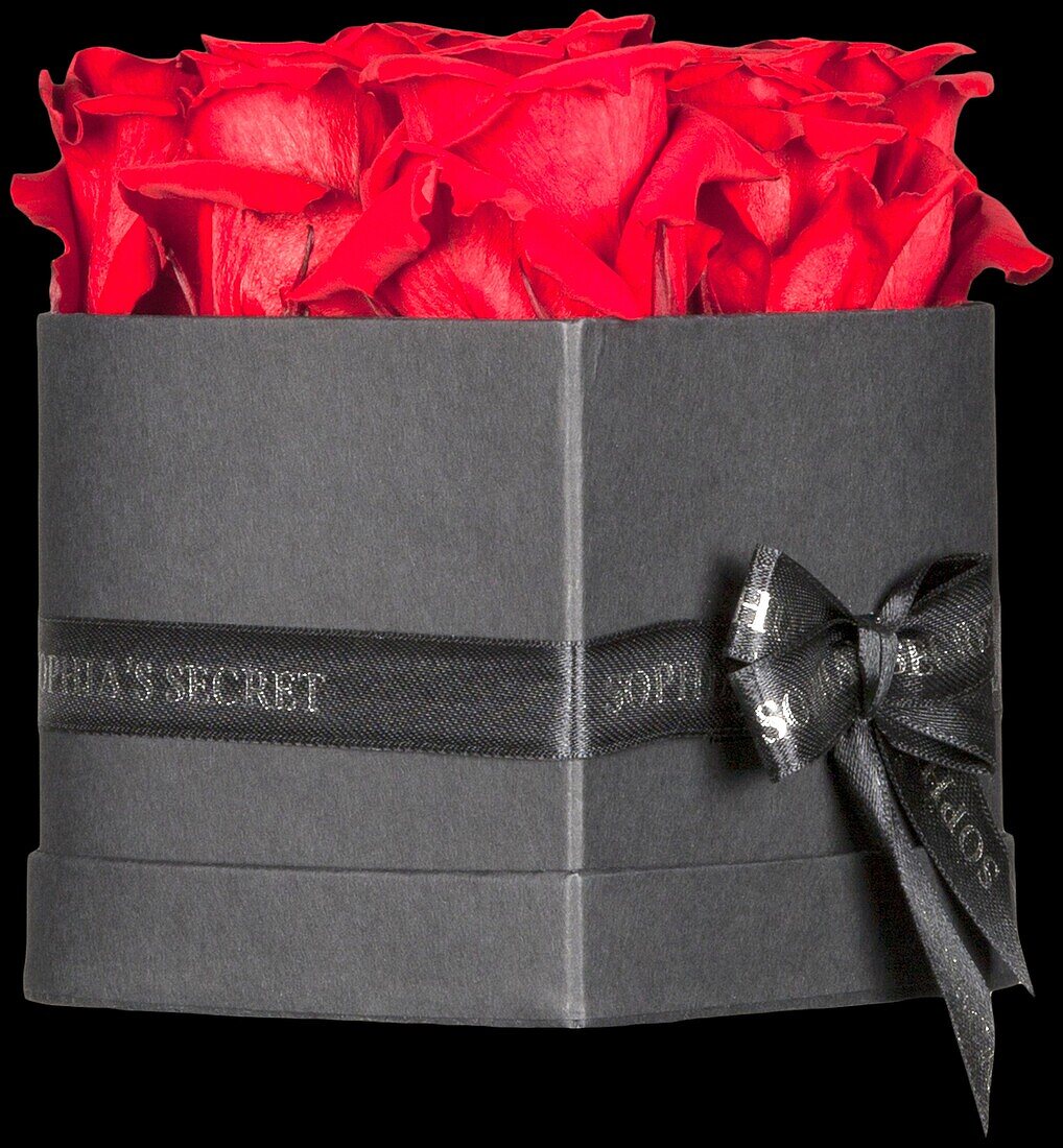 Sophias Secret® - Rose box - Heart box