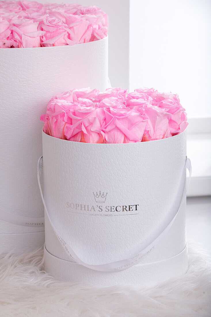 Sophias Secret® - Rose Box