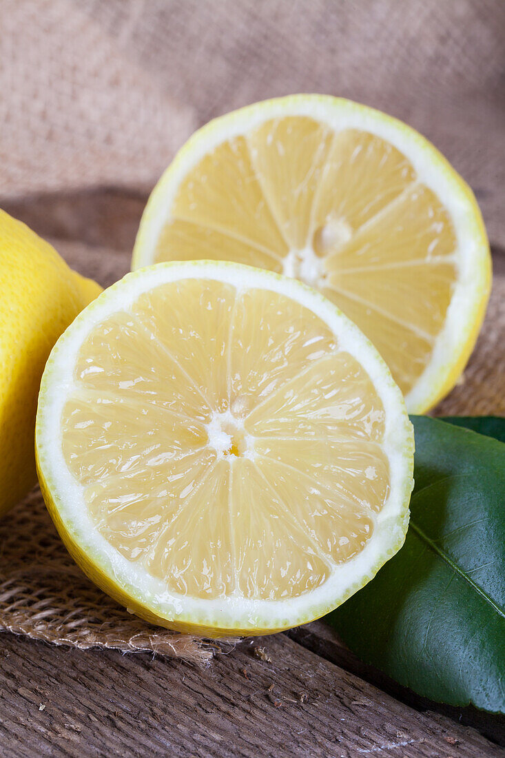 Citrus limon