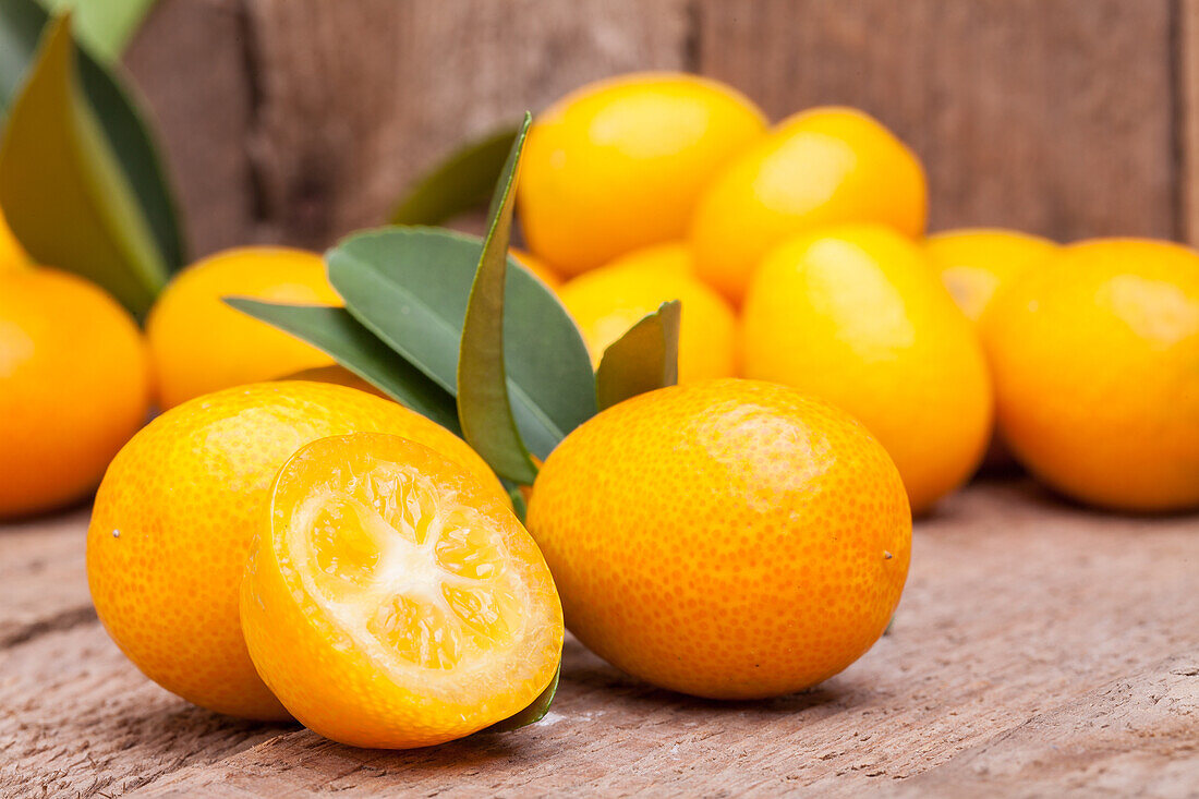 Citrus japonica