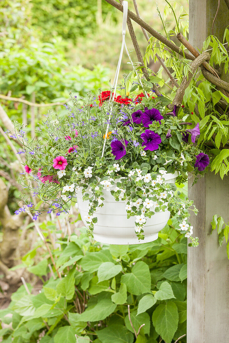 Hanging flower