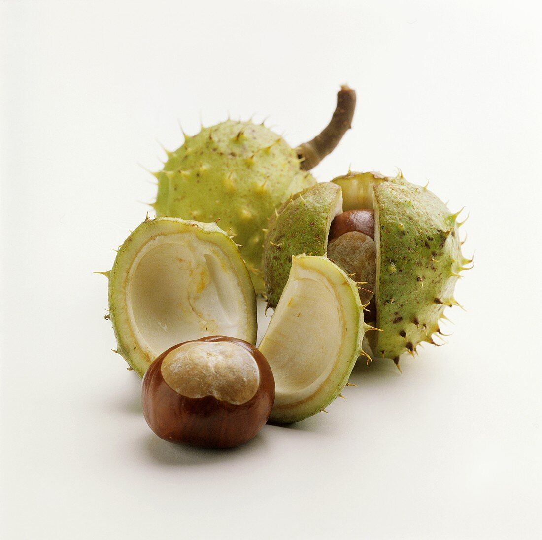 Horse chestnuts, with and without shells