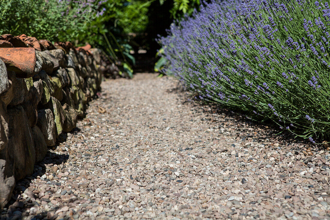 Wege im Garten