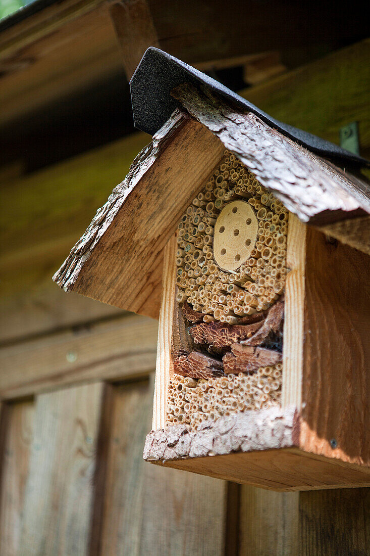 Insect hotel