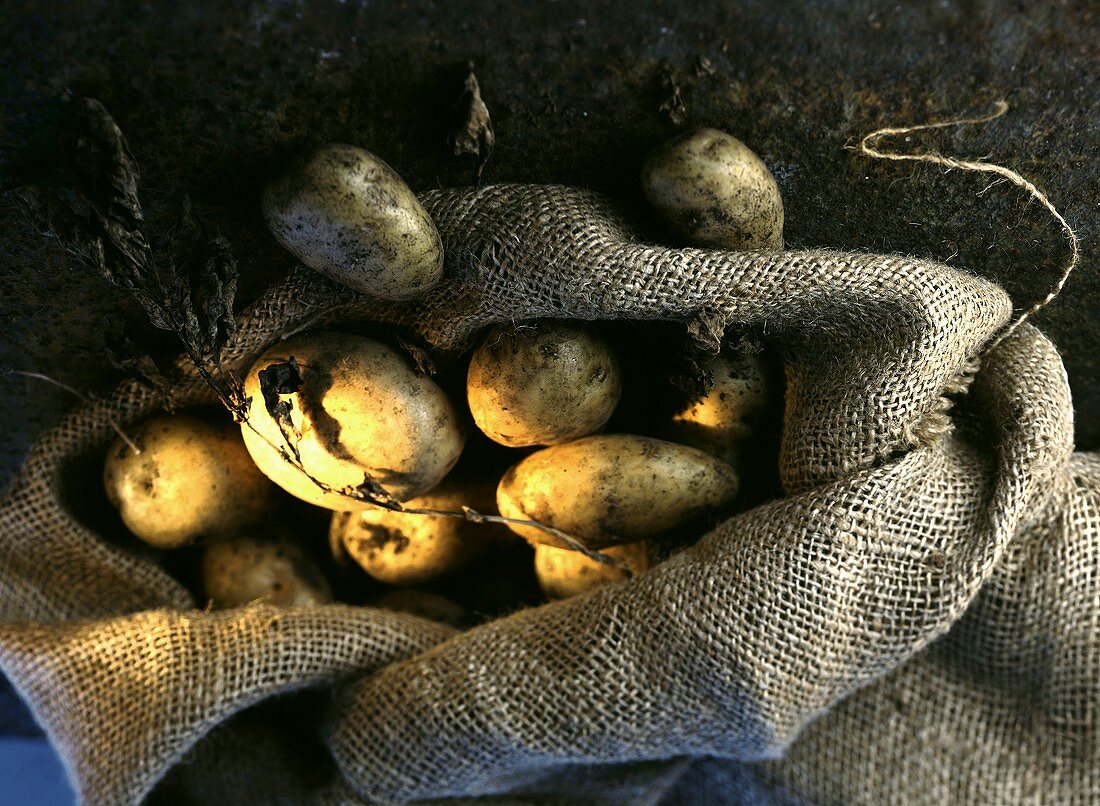 Kartoffeln im Kartoffelsack