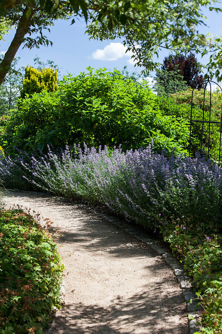 Paths in the garden