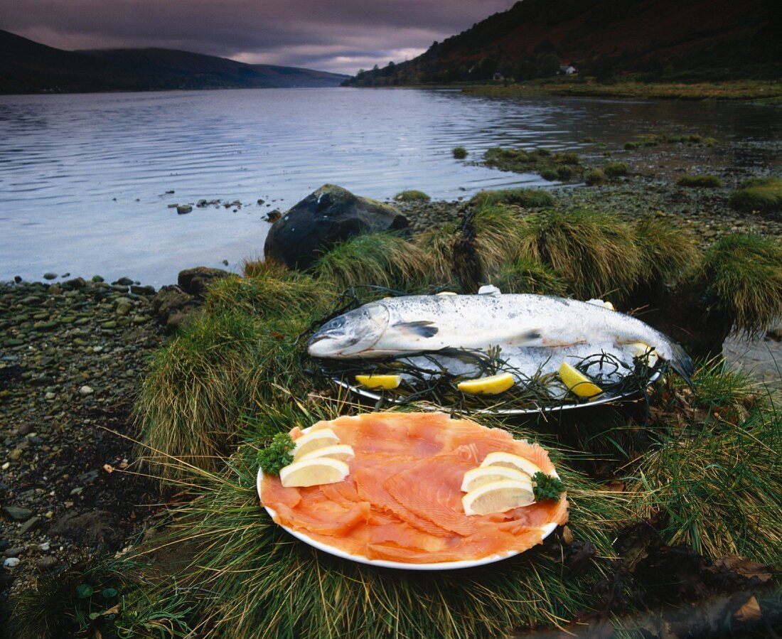 Frischer & geräucherter Lach am Ufer von Loch Fyne, Scotland