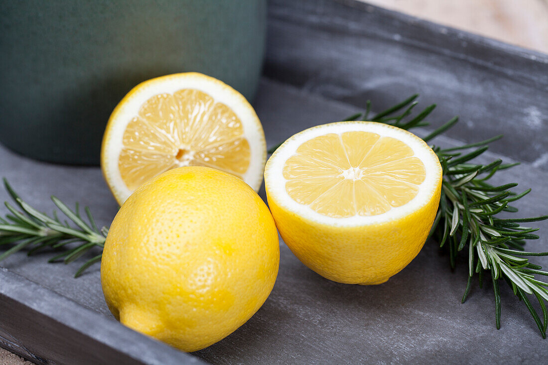 Citrus limon