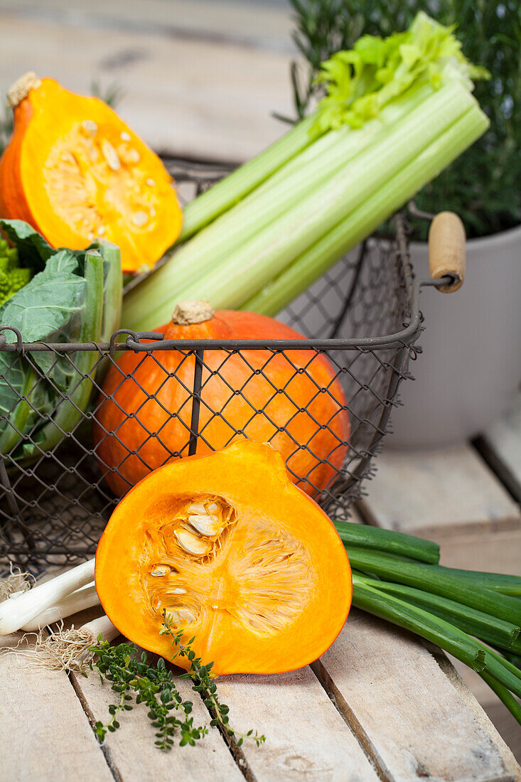 Gemüsekorb (Cucurbita pepo, Apium graveolens)