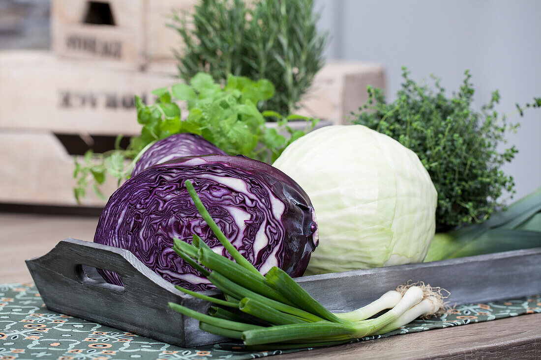 Rotkohl, Weißkohl