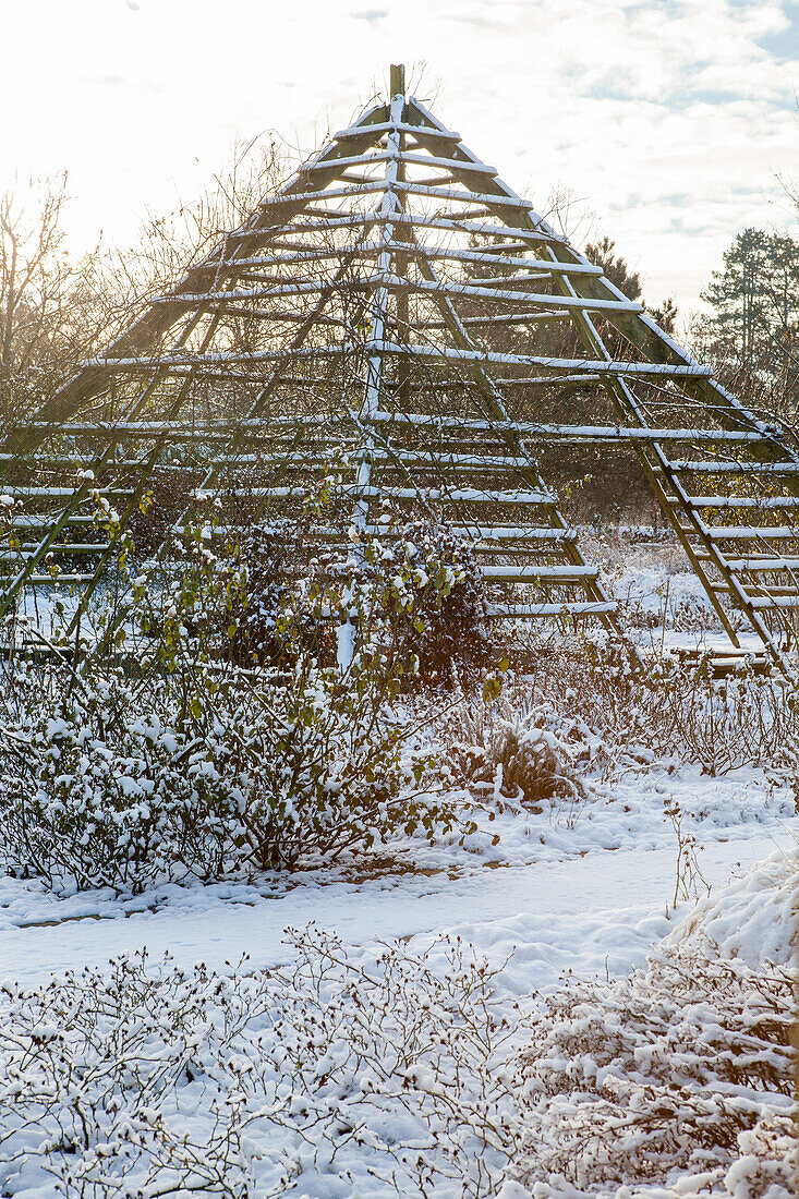 Winter impression