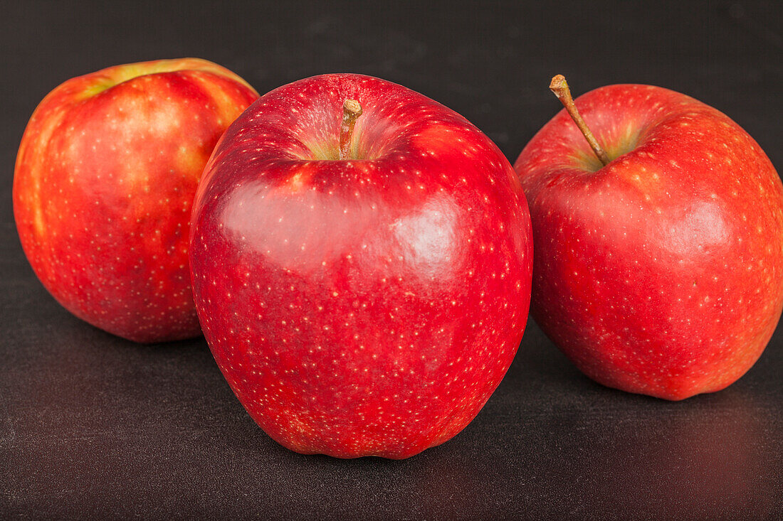 Apple 'Red Prince