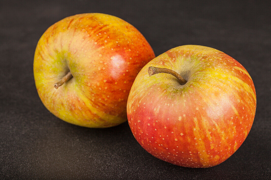 Apple 'Rubinette'®