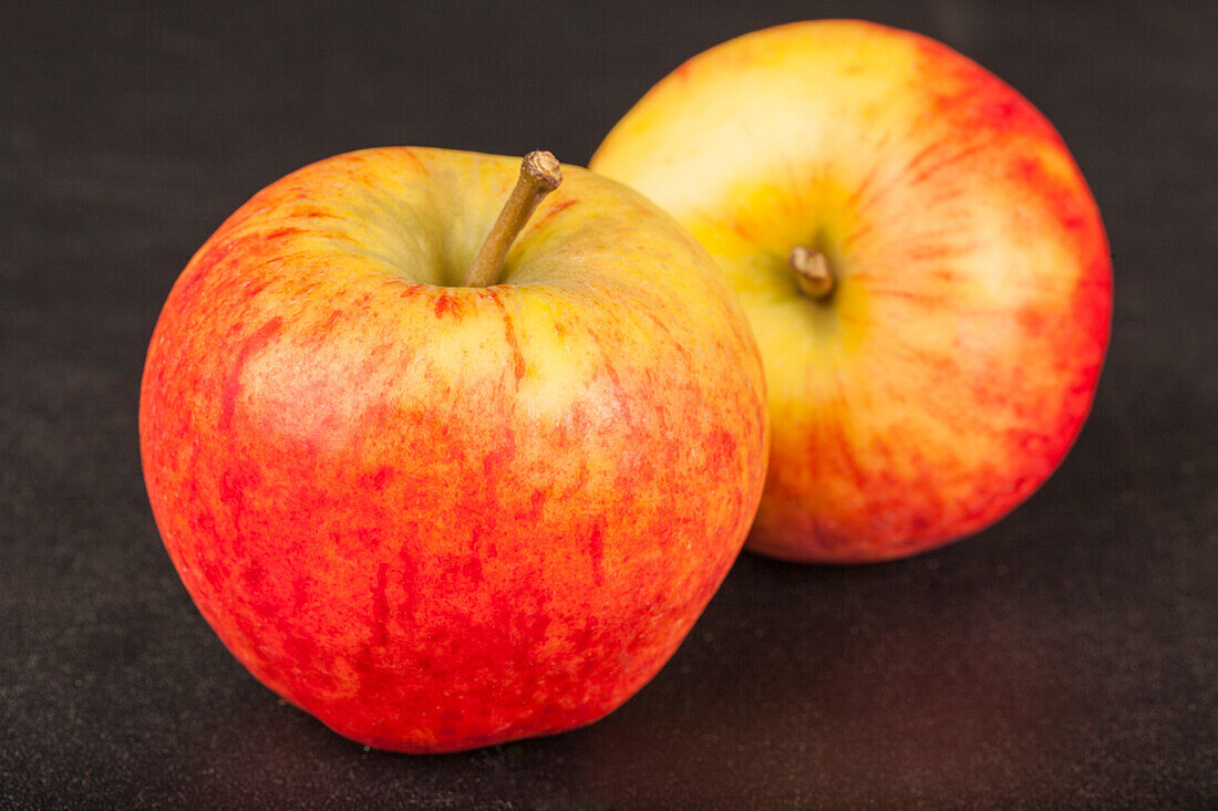 Apfel 'Rubens'®