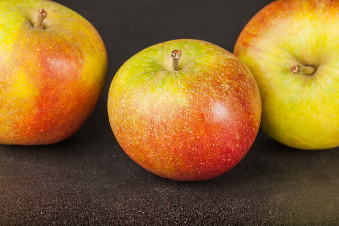 Apple 'Cox Orange