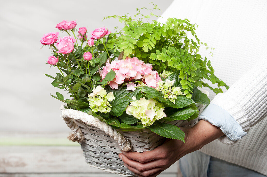 Rosa, Hydrangea, Adiantum raddianum