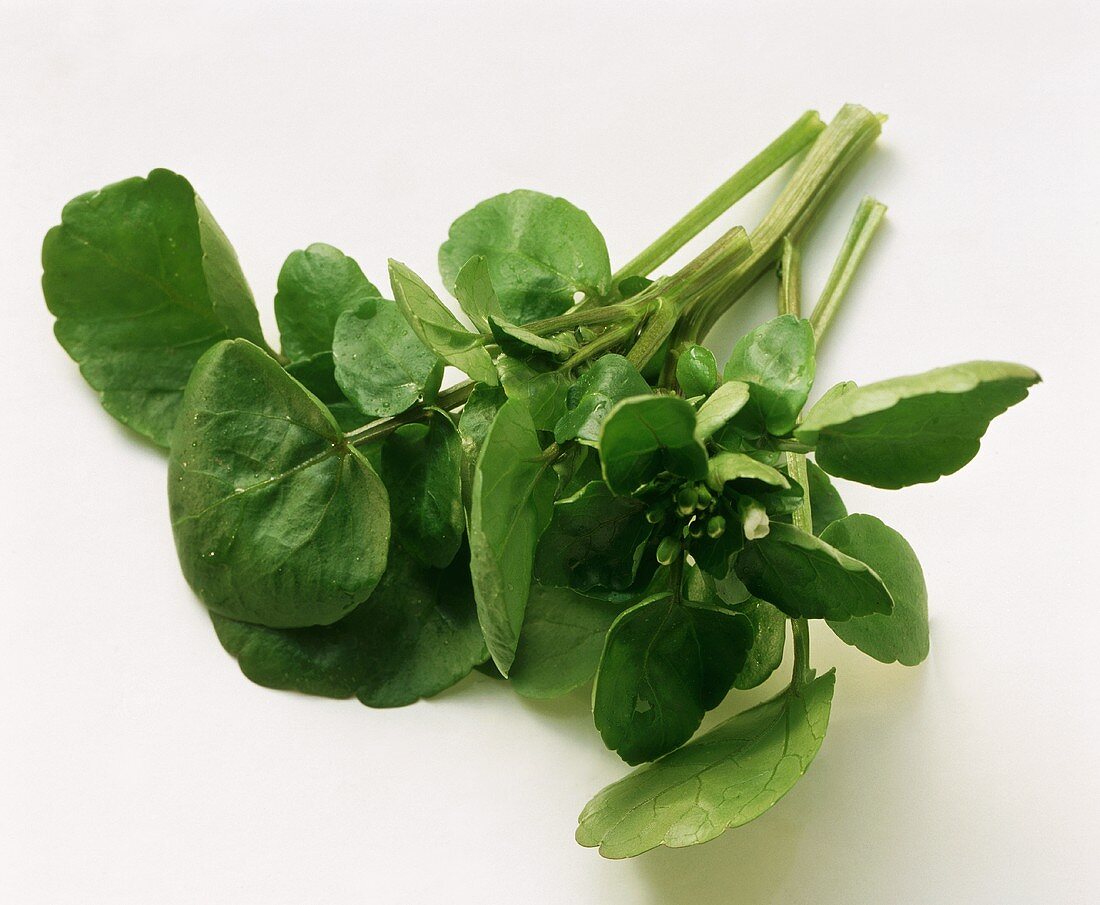 Watercress