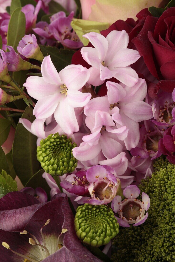 Bouquet pink