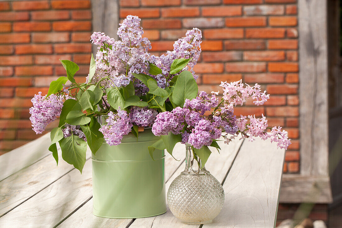 Lilac flowers