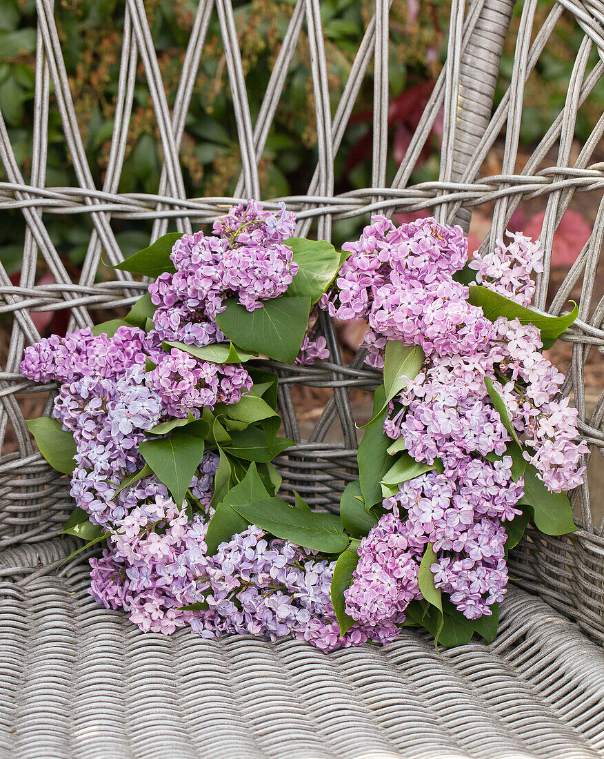 Wreath of lilac flowers