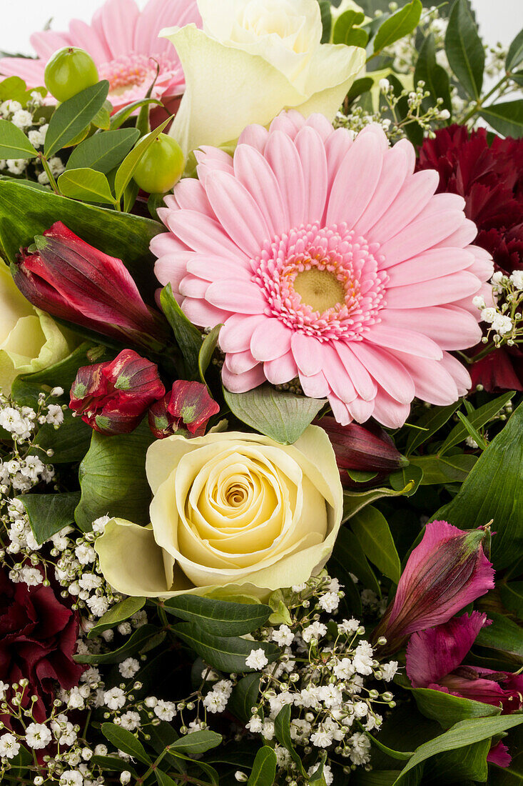 Alstroemeria, Gerbera, Rosa, Gypsophila paniculata