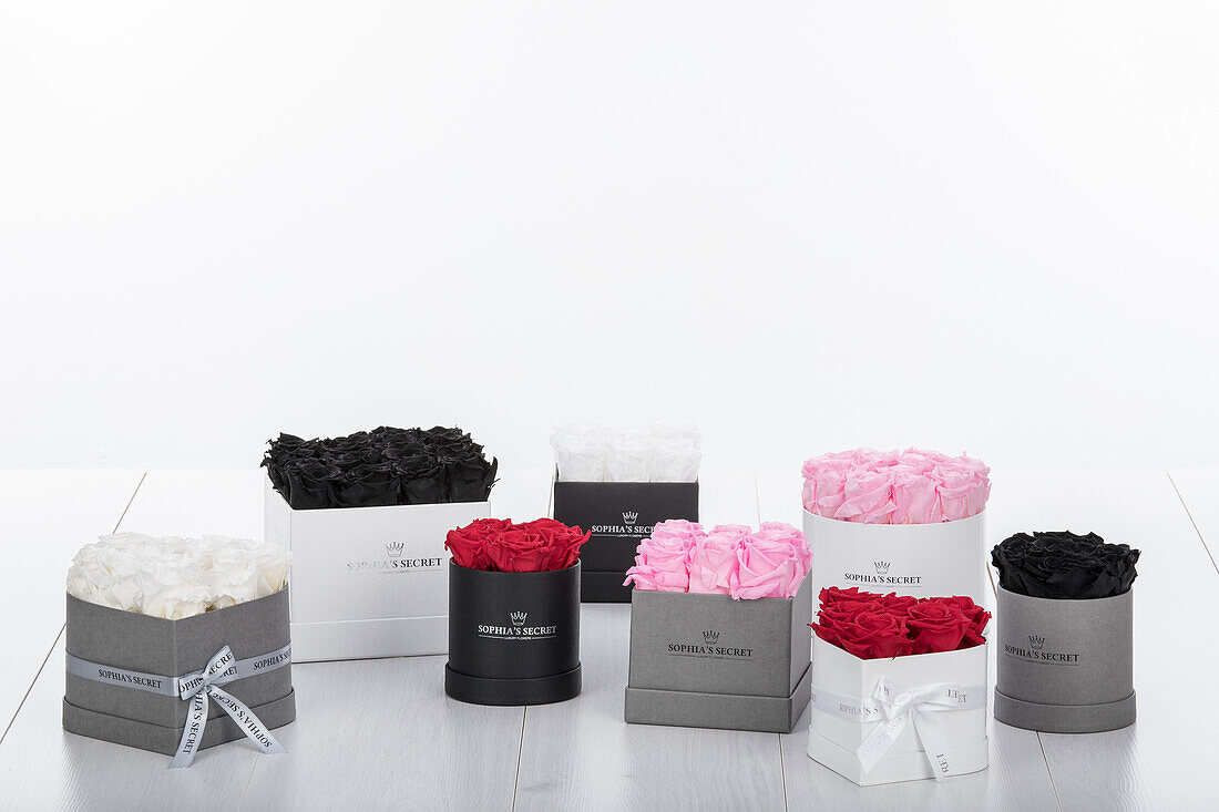 Sophias Secret® - Rose boxes